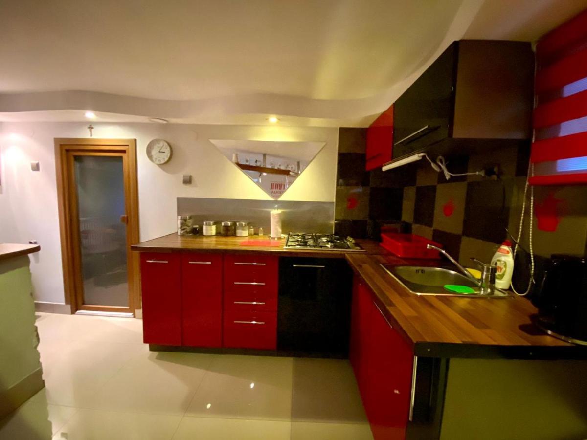 Studio Roxi Bachowice Εξωτερικό φωτογραφία
